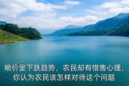 糧價呈下跌趨勢，農(nóng)民卻有惜售心理，你認(rèn)為農(nóng)民該怎樣對待這個問題