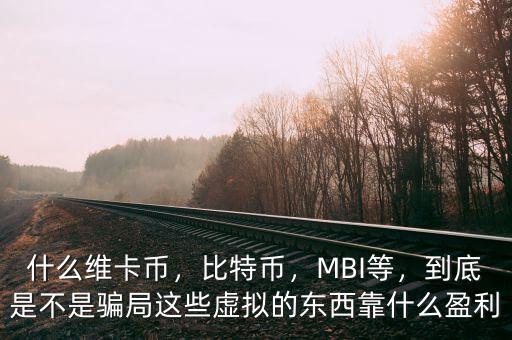 什么維卡幣，比特幣，MBI等，到底是不是騙局這些虛擬的東西靠什么盈利