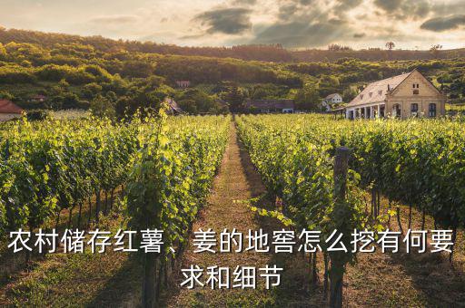 農村儲存紅薯、姜的地窖怎么挖有何要求和細節(jié)