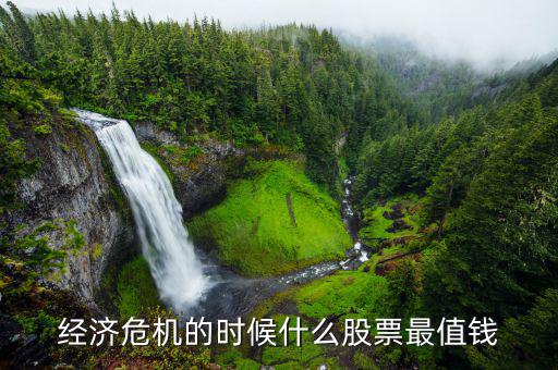 經(jīng)濟(jì)危機(jī)的時(shí)候什么股票最值錢(qián)