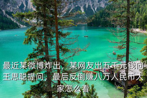 最近某微博炸出，某網(wǎng)友出五千元錢向王思聰提問，最后反倒賺八萬人民幣大家怎么看