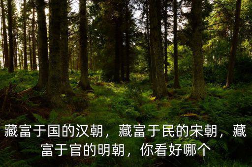 藏富于國的漢朝，藏富于民的宋朝，藏富于官的明朝，你看好哪個