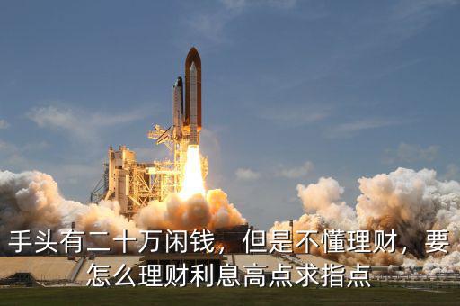 手頭有二十萬閑錢，但是不懂理財，要怎么理財利息高點求指點