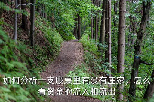 如何分析一支股票里有沒(méi)有莊家，怎么看資金的流入和流出
