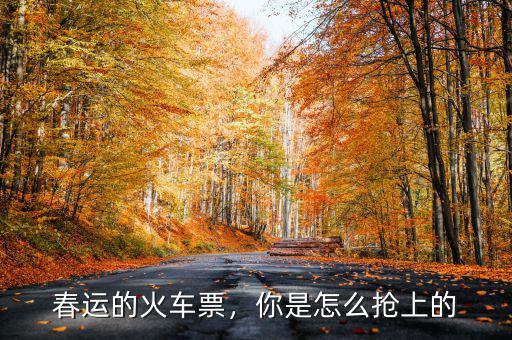 春運(yùn)的火車票，你是怎么搶上的