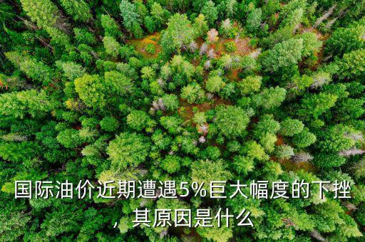 國(guó)際油價(jià)近期遭遇5%巨大幅度的下挫，其原因是什么