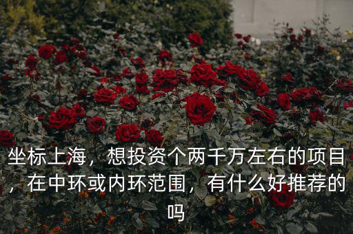坐標上海，想投資個兩千萬左右的項目，在中環(huán)或內(nèi)環(huán)范圍，有什么好推薦的嗎