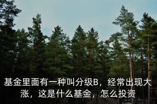 基金里面有一種叫分級B，經(jīng)常出現(xiàn)大漲，這是什么基金，怎么投資