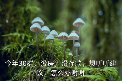 今年30歲，沒(méi)房，沒(méi)存款，想聽(tīng)聽(tīng)建議，怎么辦謝謝