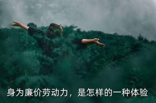 身為廉價勞動力，是怎樣的一種體驗