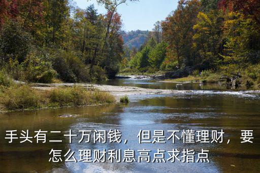手頭有二十萬(wàn)閑錢，但是不懂理財(cái)，要怎么理財(cái)利息高點(diǎn)求指點(diǎn)