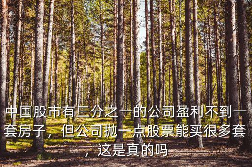 中國(guó)股市有三分之一的公司盈利不到一套房子，但公司拋一點(diǎn)股票能買很多套，這是真的嗎