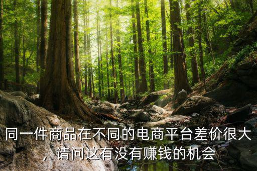 同一件商品在不同的電商平臺(tái)差價(jià)很大，請(qǐng)問這有沒有賺錢的機(jī)會(huì)