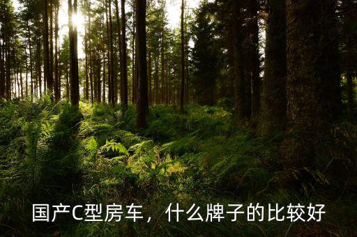 國產C型房車，什么牌子的比較好