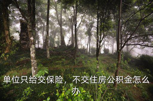 單位只給交保險，不交住房公積金怎么辦