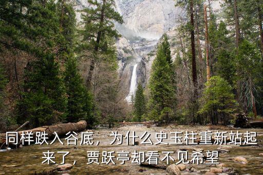 同樣跌入谷底，為什么史玉柱重新站起來了，賈躍亭卻看不見希望