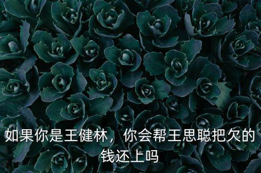 如果你是王健林，你會幫王思聰把欠的錢還上嗎