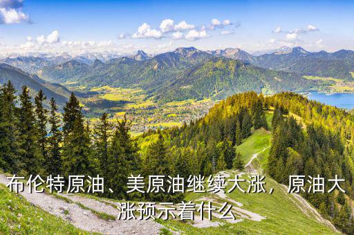 布倫特原油、美原油繼續(xù)大漲，原油大漲預(yù)示著什么