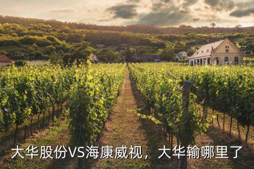 ?？低曉趺闯钟泄煞?寧德時(shí)代和?？低?/></a></span><span id=