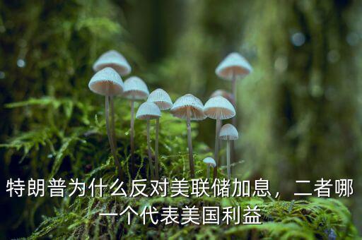 特朗普為什么反對(duì)美聯(lián)儲(chǔ)加息，二者哪一個(gè)代表美國(guó)利益