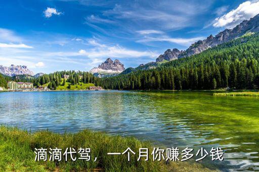 滴滴代駕，一個(gè)月你賺多少錢