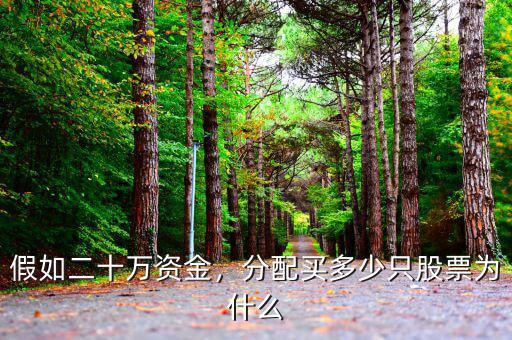 假如二十萬(wàn)資金，分配買多少只股票為什么
