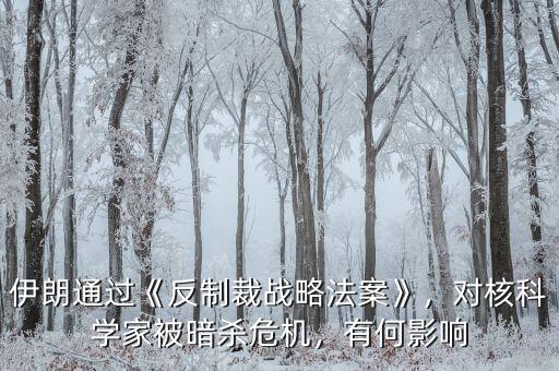 伊朗通過(guò)《反制裁戰(zhàn)略法案》，對(duì)核科學(xué)家被暗殺危機(jī)，有何影響