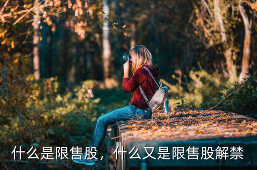 什么是限售股，什么又是限售股解禁