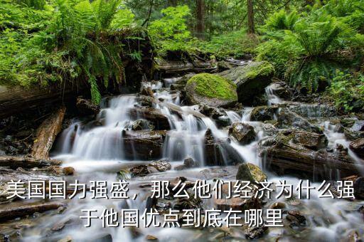 美國國力強盛，那么他們經(jīng)濟(jì)為什么強于他國優(yōu)點到底在哪里
