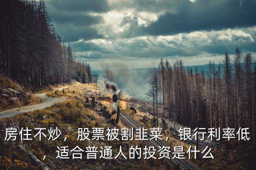 房住不炒，股票被割韭菜，銀行利率低，適合普通人的投資是什么
