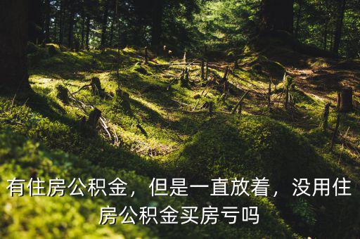 有住房公積金，但是一直放著，沒用住房公積金買房虧嗎