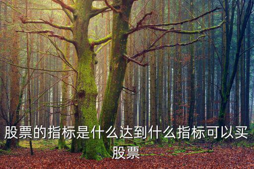 看什么指標(biāo)買(mǎi)股票,達(dá)到什么指標(biāo)可以買(mǎi)股票
