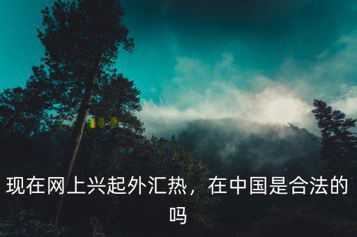現(xiàn)在網(wǎng)上興起外匯熱，在中國(guó)是合法的嗎