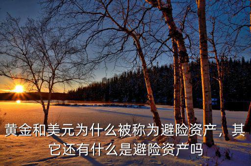 黃金和美元為什么被稱(chēng)為避險(xiǎn)資產(chǎn)，其它還有什么是避險(xiǎn)資產(chǎn)嗎