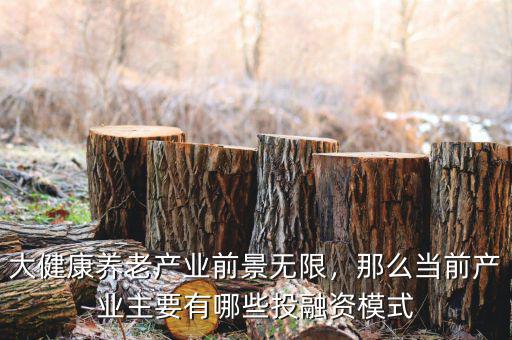 大健康養(yǎng)老產(chǎn)業(yè)前景無限，那么當(dāng)前產(chǎn)業(yè)主要有哪些投融資模式