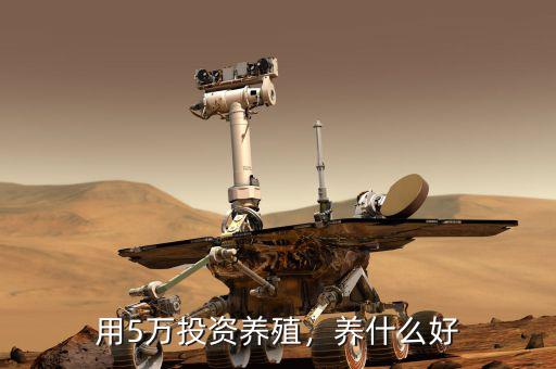 用5萬(wàn)投資養(yǎng)殖，養(yǎng)什么好