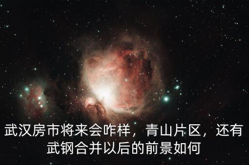 武漢房市將來會咋樣，青山片區(qū)，還有武鋼合并以后的前景如何