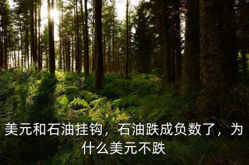 美元和石油掛鉤，石油跌成負(fù)數(shù)了，為什么美元不跌