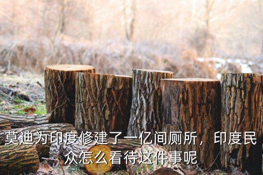 莫迪為印度修建了一億間廁所，印度民眾怎么看待這件事呢