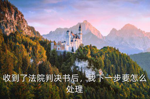 收到了法院判決書后，我下一步要怎么處理