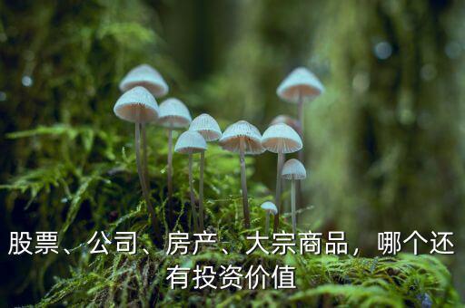 股票、公司、房產(chǎn)、大宗商品，哪個還有投資價值