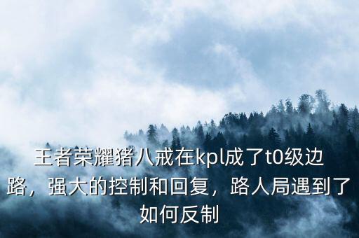 王者榮耀豬八戒在kpl成了t0級邊路，強(qiáng)大的控制和回復(fù)，路人局遇到了如何反制