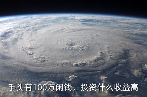 手頭有100萬閑錢，投資什么收益高
