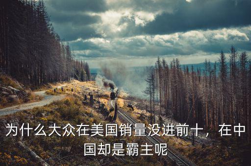 為什么大眾在美國(guó)銷(xiāo)量沒(méi)進(jìn)前十，在中國(guó)卻是霸主呢