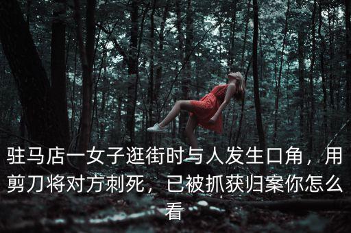 駐馬店一女子逛街時(shí)與人發(fā)生口角，用剪刀將對(duì)方刺死，已被抓獲歸案你怎么看