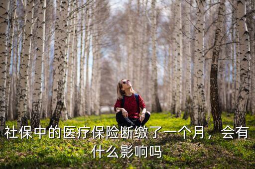 社保中的醫(yī)療保險(xiǎn)斷繳了一個(gè)月，會(huì)有什么影響嗎