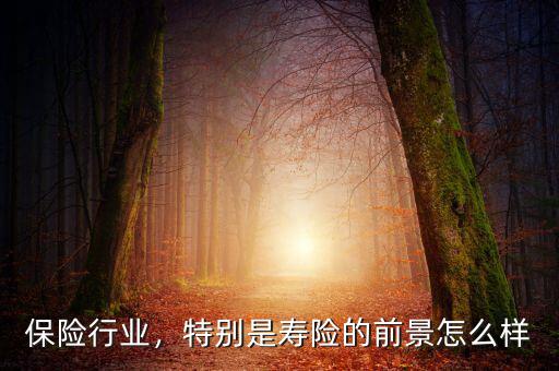 保險(xiǎn)行業(yè)，特別是壽險(xiǎn)的前景怎么樣