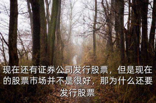 現(xiàn)在還有證券公司發(fā)行股票，但是現(xiàn)在的股票市場(chǎng)并不是很好，那為什么還要發(fā)行股票