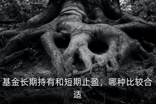 基金長期持有和短期止盈，哪種比較合適
