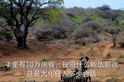 手里有10萬(wàn)閑錢，投資什么能達(dá)到收益最大化日入多少合適